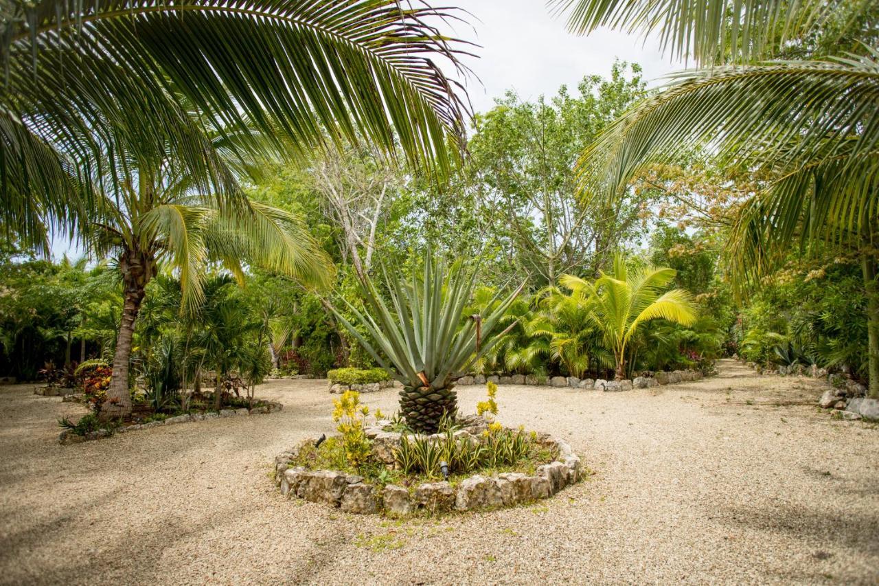 Aldea Jo-Yah Villa Tulum Luaran gambar